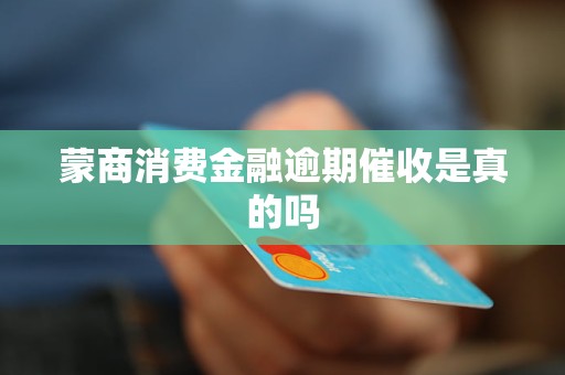 认识金融机构委托催收的本质——以蒙商消费金融为例