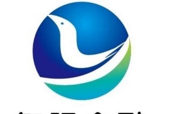 机构委托从事金融